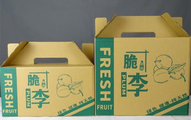 长沙水果精品包装盒设计制作